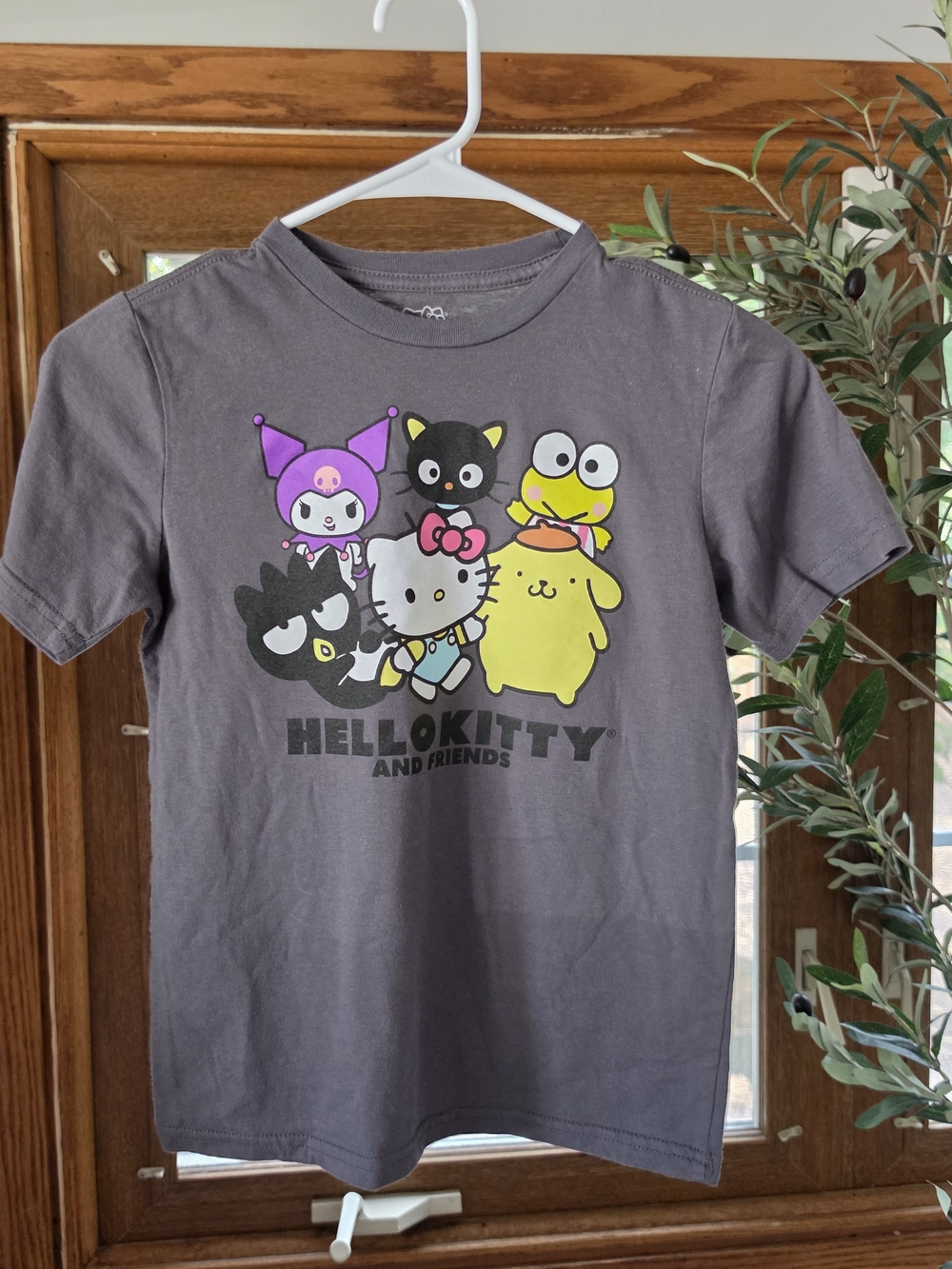 Hello Kitty Short Sleeve Tee - Gray with Colorful Character Print